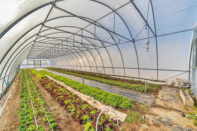 7545 Log Road, Peyton, CO 80831