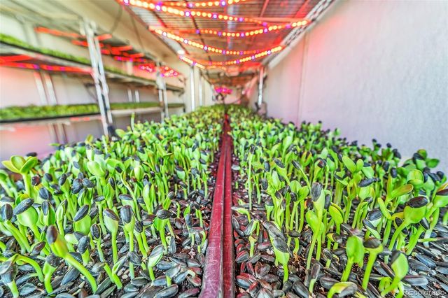 7545 Log Road, Peyton, CO 80831