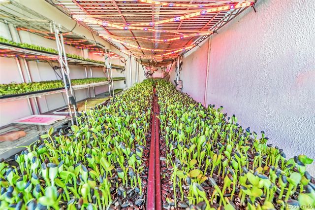 7545 Log Road, Peyton, CO 80831