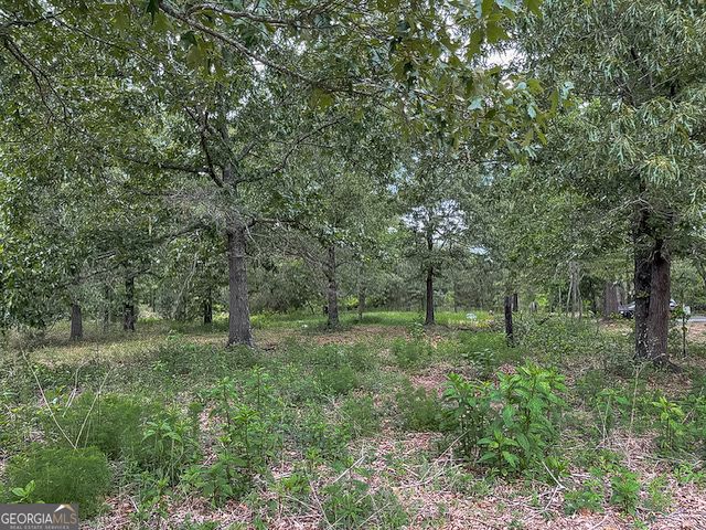 62 Brannon Montgomery Road, Mauk, GA 31058