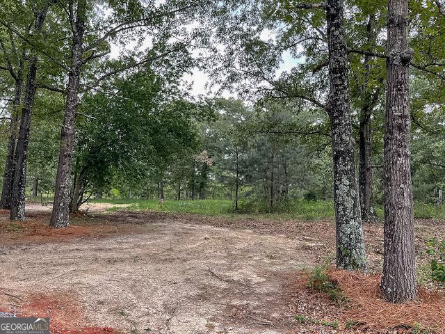 62 Brannon Montgomery Road, Mauk, GA 31058