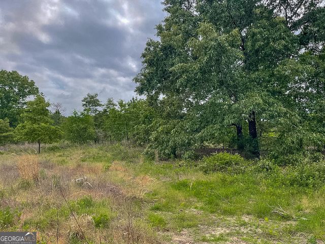 62 Brannon Montgomery Road, Mauk, GA 31058