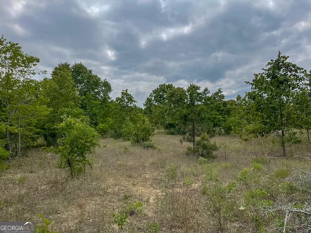 62 Brannon Montgomery Road, Mauk, GA 31058