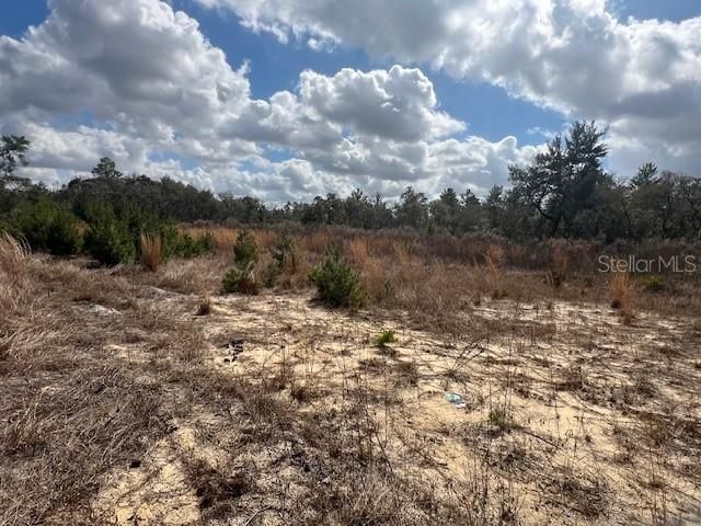 351 MARION OAKS BOULEVARD, Ocala, FL 34473