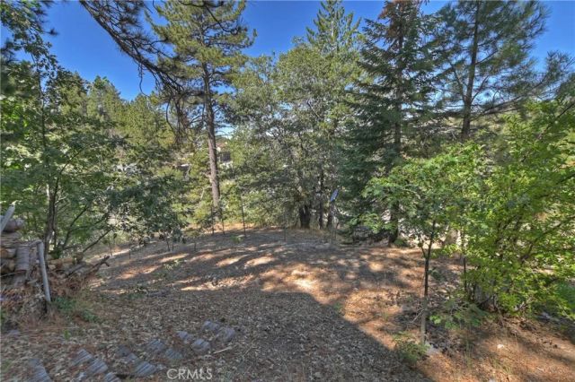 33026 Donner Lane, Arrowbear, CA 92382