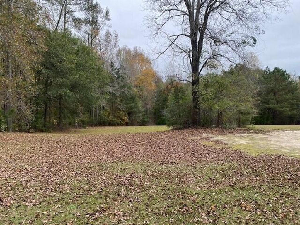 6384 COBBHAM Road, Appling, GA 30802