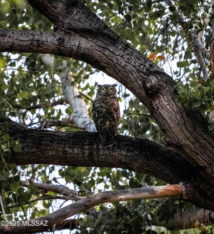 10185 S Bailando Rio, Hereford, AZ 85615