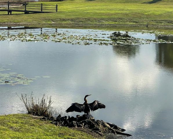 236 CALADIUM AVENUE, Lake Alfred, FL 33850