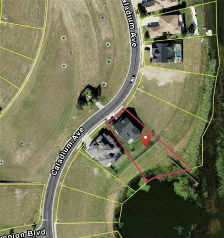 236 CALADIUM AVENUE, Lake Alfred, FL 33850