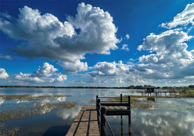 236 CALADIUM AVENUE, Lake Alfred, FL 33850