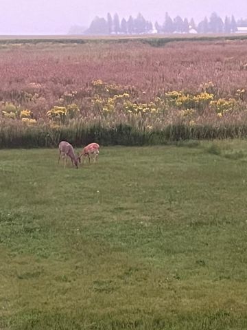 1800 20th Avenue Circle NE, Kasson, MN 55944