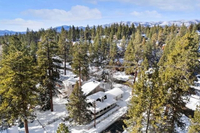 572 Douglas Street, Big Bear Lake, CA 92315