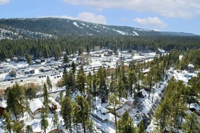572 Douglas Street, Big Bear Lake, CA 92315