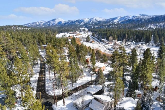 572 Douglas Street, Big Bear Lake, CA 92315