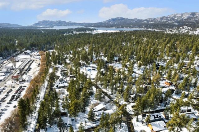 572 Douglas Street, Big Bear Lake, CA 92315