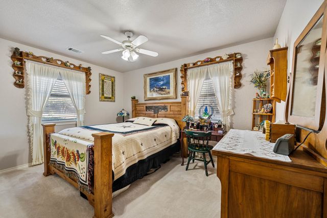 24008 Oak Shadow, Whitney, TX 76692