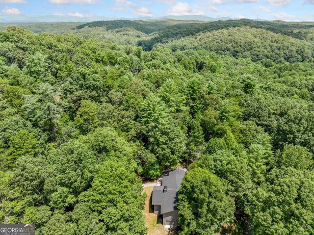 36 Dapple Lane, Ellijay, GA 30540