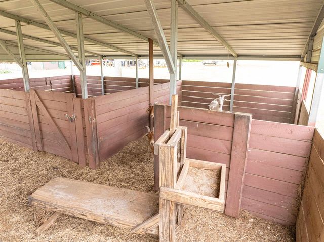 6676 SE CR 255, Lee, FL 32059