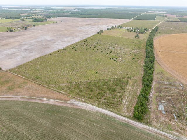 6676 SE CR 255, Lee, FL 32059