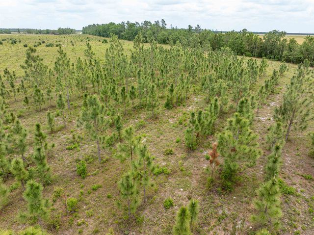 6676 SE CR 255, Lee, FL 32059