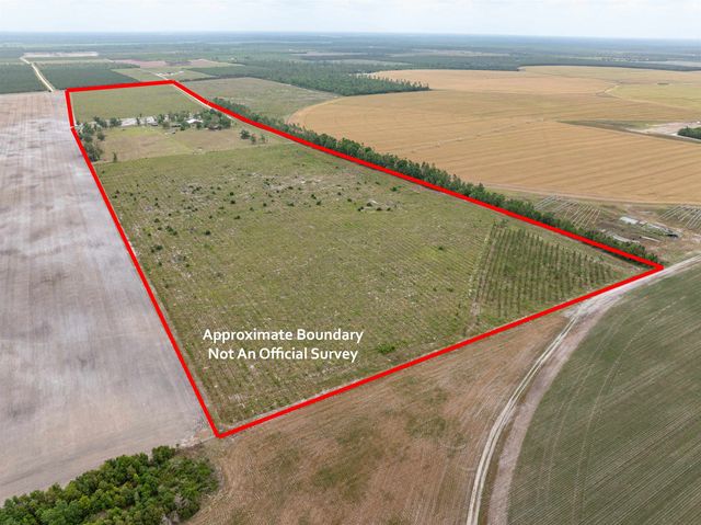 6676 SE CR 255, Lee, FL 32059