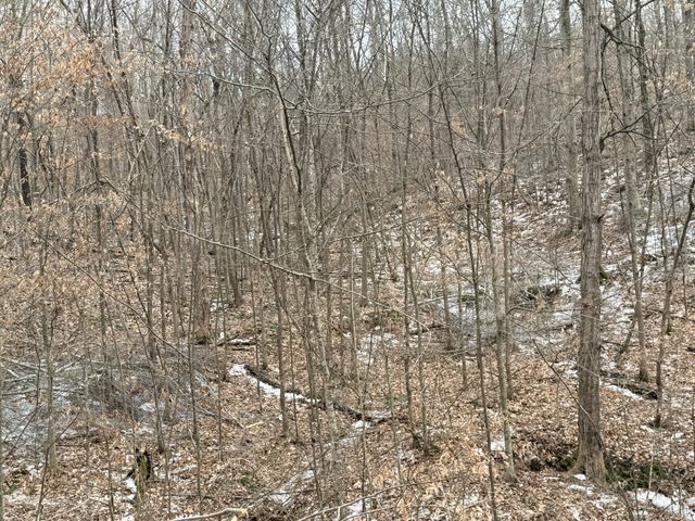 0 Scott Branch Rd, Hampshire, TN 38461