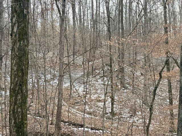 0 Scott Branch Rd, Hampshire, TN 38461