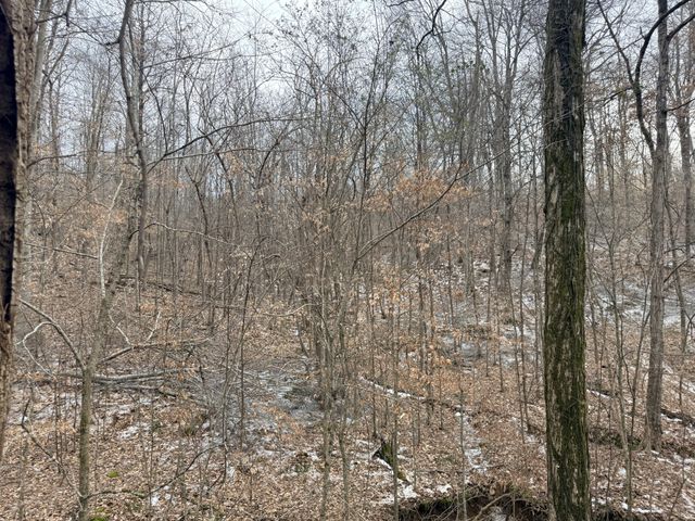 0 Scott Branch Rd, Hampshire, TN 38461