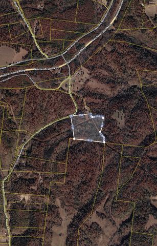 0 Scott Branch Rd, Hampshire, TN 38461