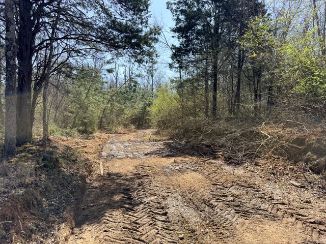 0 Scott Branch Rd, Hampshire, TN 38461