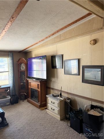 8156 N Princess Avenue, Dunnellon, FL 34433