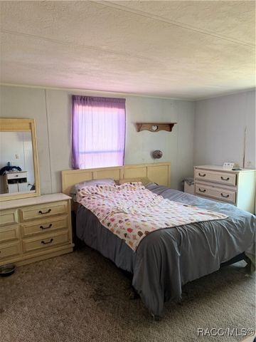 8156 N Princess Avenue, Dunnellon, FL 34433