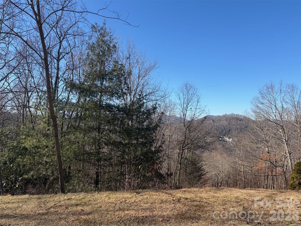 LT 42 Beechfern Drive 42, Glenville, NC 28736