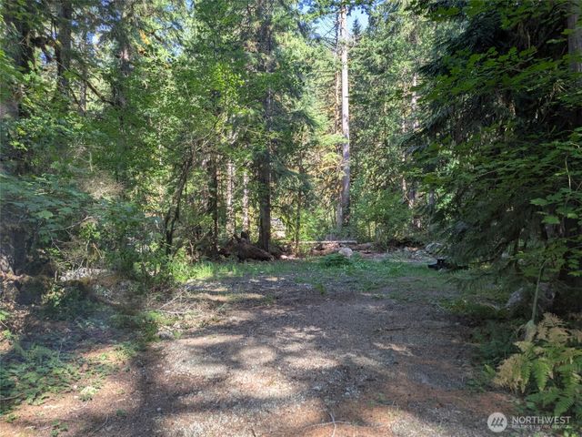 63783 W Cascade Drive #D1-17, Marblemount, WA 98267