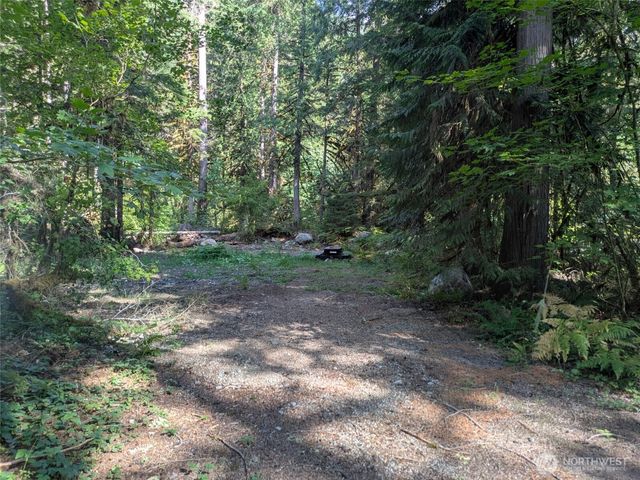 63783 W Cascade Drive #D1-17, Marblemount, WA 98267