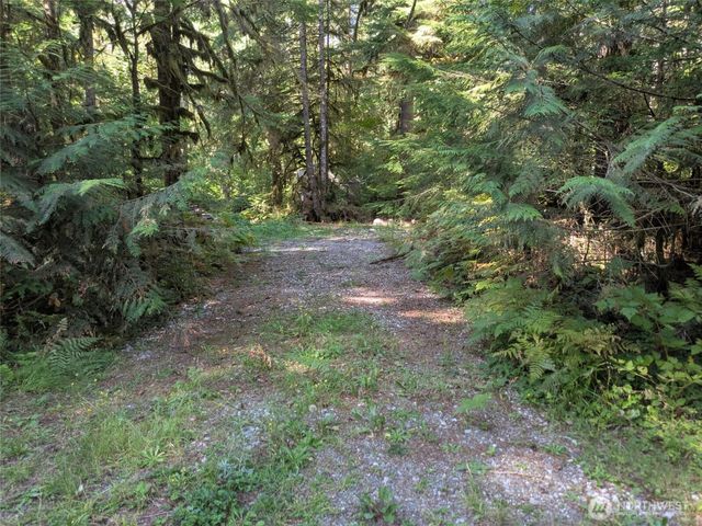 63783 W Cascade Drive #D1-17, Marblemount, WA 98267