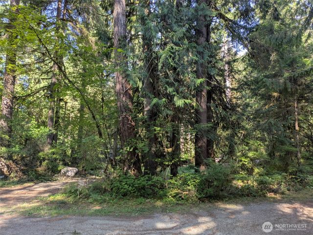 63783 W Cascade Drive #D1-17, Marblemount, WA 98267