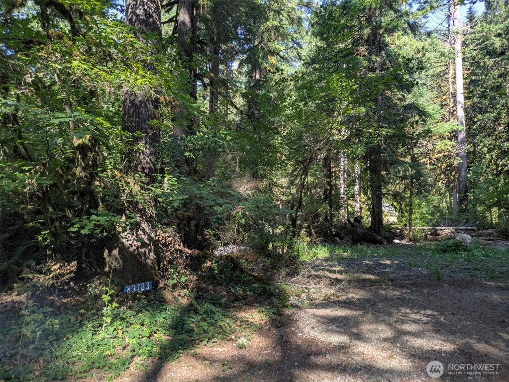63783 W Cascade Drive #D1-17, Marblemount, WA 98267