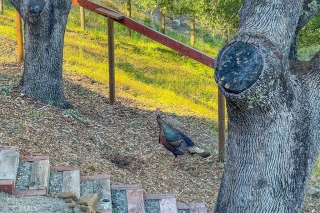10662 Santa Ana Road, Atascadero, CA 93422