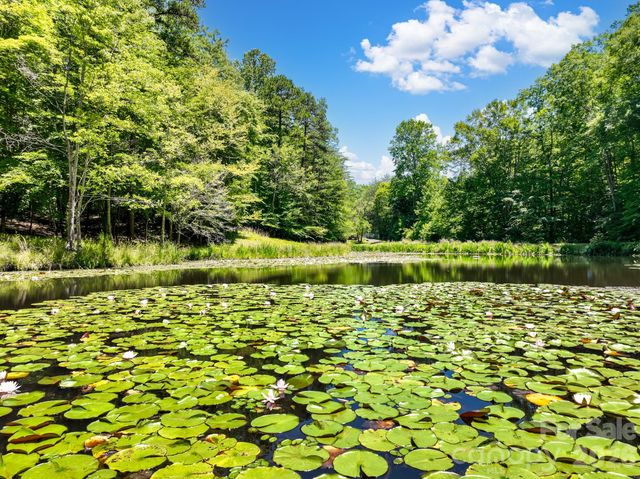 1090 N Saunders Drive, Catawba, NC 28609