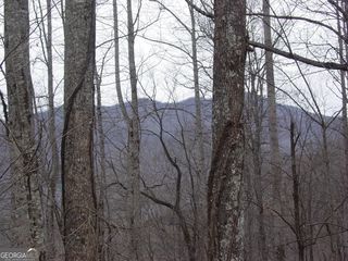 #17 Roaring Ridge, Hiawassee, GA 30546