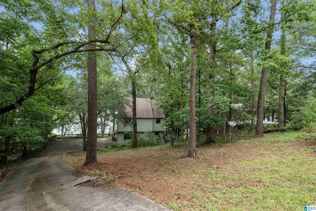 809 PARADISE POINT DRIVE, Columbiana, AL 35051