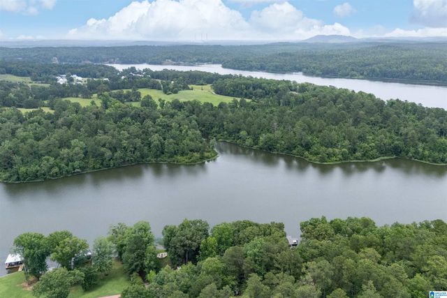 809 PARADISE POINT DRIVE, Columbiana, AL 35051