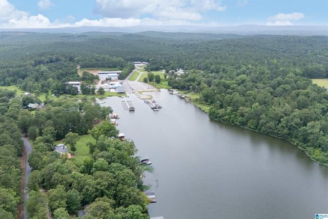 809 PARADISE POINT DRIVE, Columbiana, AL 35051
