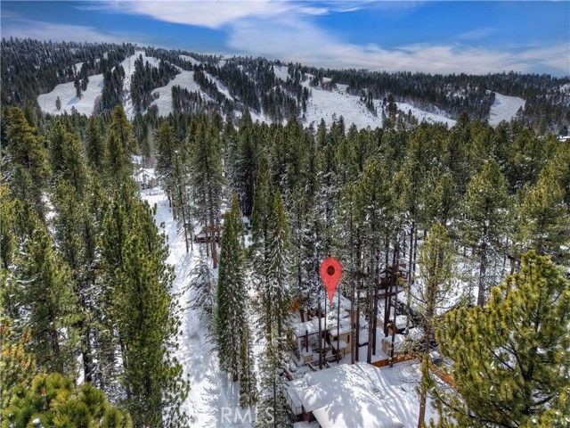764 Crestwood, Big Bear Lake, CA 92315