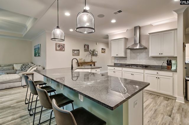 249 Daymark Drive, Chapin, SC 29036