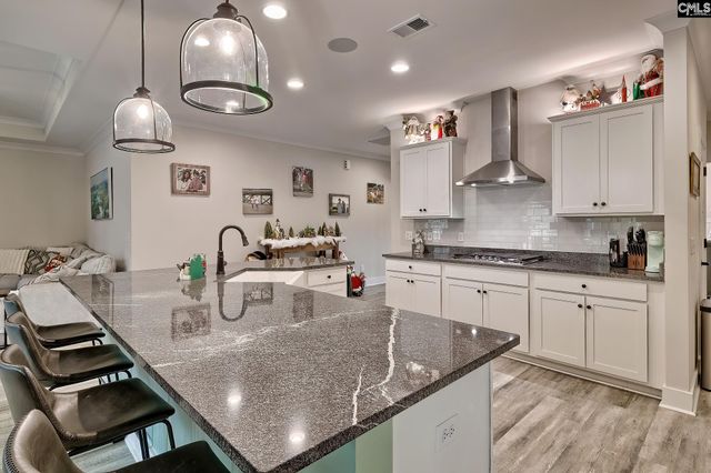 249 Daymark Drive, Chapin, SC 29036