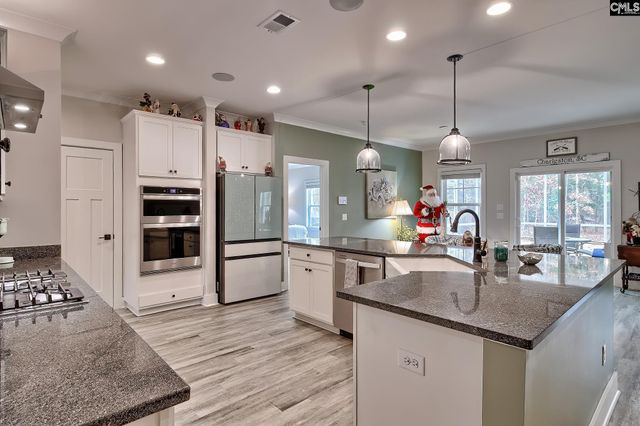 249 Daymark Drive, Chapin, SC 29036