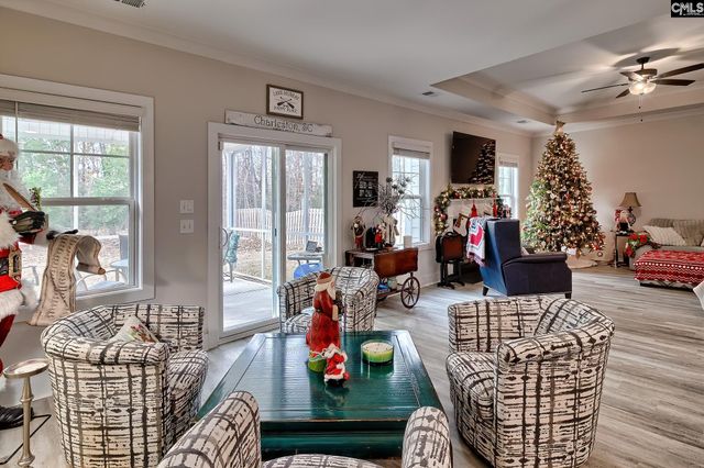 249 Daymark Drive, Chapin, SC 29036