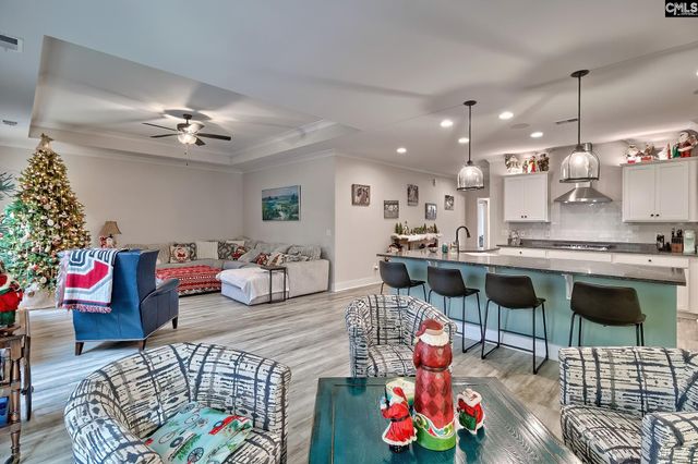 249 Daymark Drive, Chapin, SC 29036